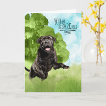 Gefeliciteerd reBARKable Cane Corso-hond