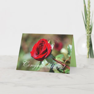 Gefeliciteerd Red Rose Kaart