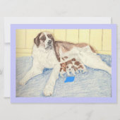 Gefeliciteerd, Saint Bernard Kaart (Achterkant)
