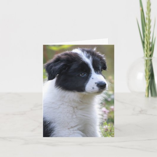 Gefeliciteerd Schattige Puppy Kaart (Voorkant)