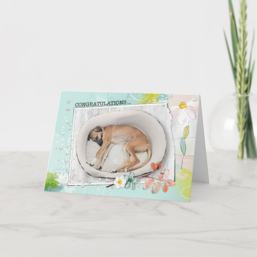Gefeliciteerd, Shelter Dog Adoption Card Kaart (Voorkant)