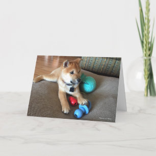 Gefeliciteerd Shiba Inu Puppy Kleurrijke Speeltjes Kaart