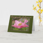 Gefeliciteerd Single Delicate Pink Poppy Foto Kaart (Gele Bloem)