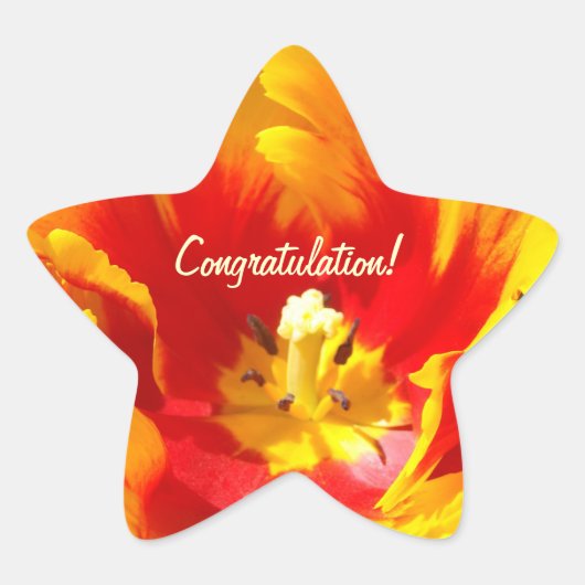 Gefeliciteerd! stickers Rode Gele Tulp Bloemen (Voorkant)