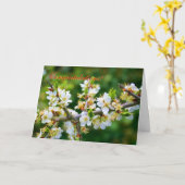 Gefeliciteerd - Sun-Dapped Spring Hawthorn Kaart (Gele Bloem)