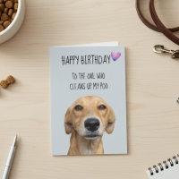 Gefeliciteerd Van De Hond Grappige Humor