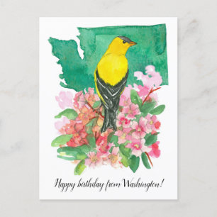 Gefeliciteerd vanuit Washington Goudvink Bloem Briefkaart
