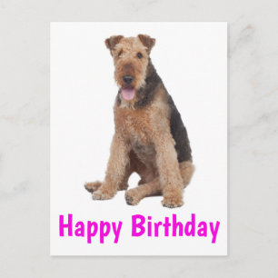 Gefeliciteerd Verjaardag Airedale Terrier Puppy Ho Briefkaart