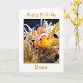 Gefeliciteerd Verjaardag Baas Clownvis Kaart (Gele Bloem)