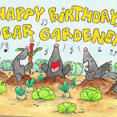 Gefeliciteerd Verjaardag, Beste Tuinman Briefkaart