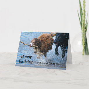 Gefeliciteerd Verjaardag Beste Vriend Leuke Oude & Kaart