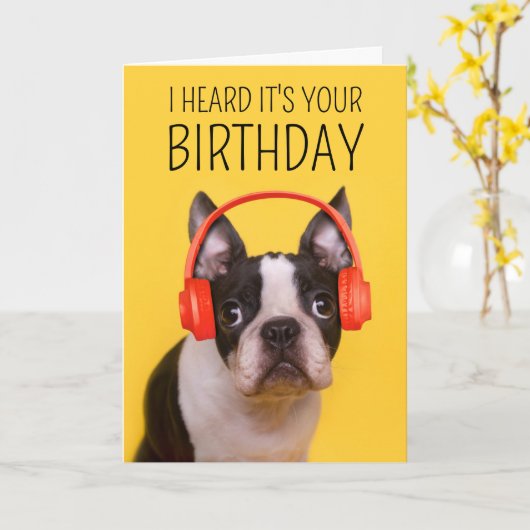 Gefeliciteerd verjaardag | Boston Terrier Kaart (Gele Bloem)