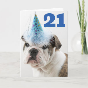 Gefeliciteerd verjaardag   Britse Bulldog Puppy Kaart