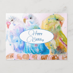 Gefeliciteerd Verjaardag Budgie Budgies Vogels Pos Briefkaart