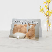 Gefeliciteerd verjaardag | Corgi & Knuffel Puppy Kaart (Gele Bloem)
