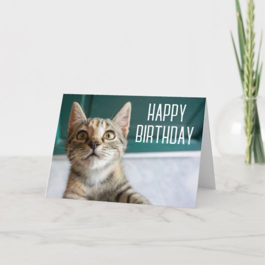 Gefeliciteerd verjaardag | Cute Tabby Kitten Kaart (Voorkant)