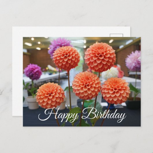 Gefeliciteerd verjaardag Dahlia Rose Toscano #1 An Briefkaart (Voorkant / Achterkant)