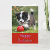 Gefeliciteerd Verjaardag Hond Liefhebber Kinderen Kaart (Voorkant)