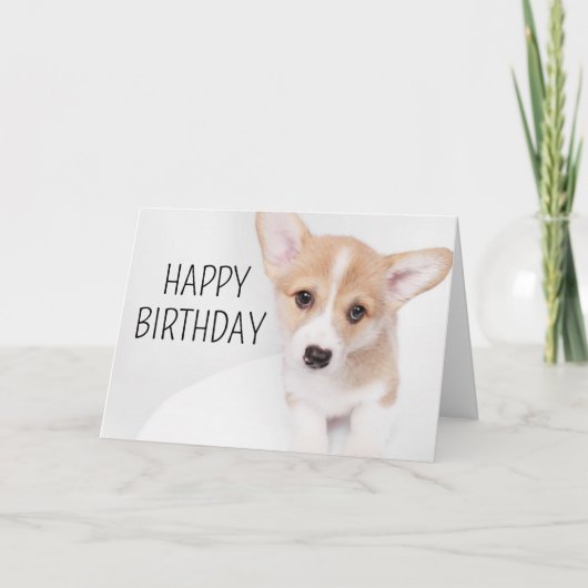 Gefeliciteerd verjaardag | Jonge Corgi Puppy Kaart (Voorkant)