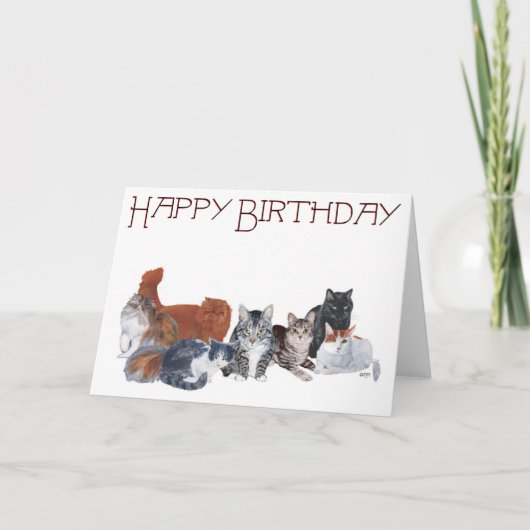 Gefeliciteerd Verjaardag Katten Kaart (Voorkant)