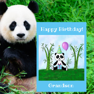 Gefeliciteerd Verjaardag Kleinzoon Panda Feestje Kaart