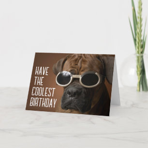 Gefeliciteerd verjaardag   Koele zonnebril hond Kaart