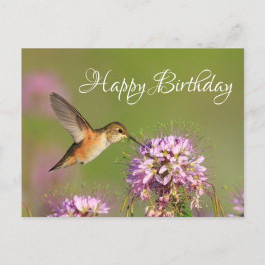 Gefeliciteerd Verjaardag Kolibrie Briefkaart (Voorkant)