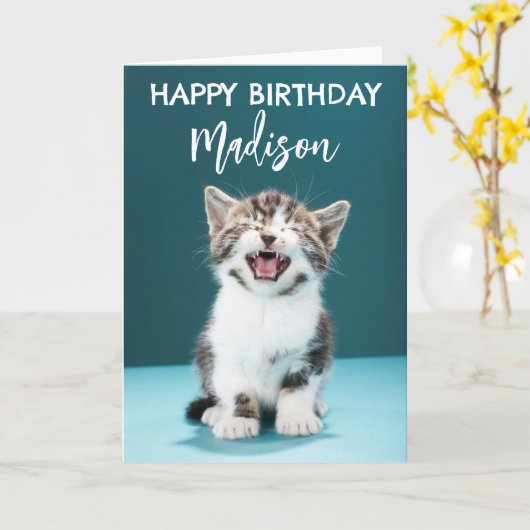 Gefeliciteerd verjaardag | Miauwende baby katje Kaart (Gele Bloem)