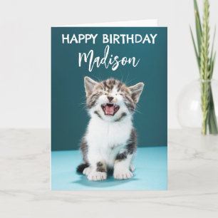 Gefeliciteerd verjaardag   Miauwende baby katje Kaart