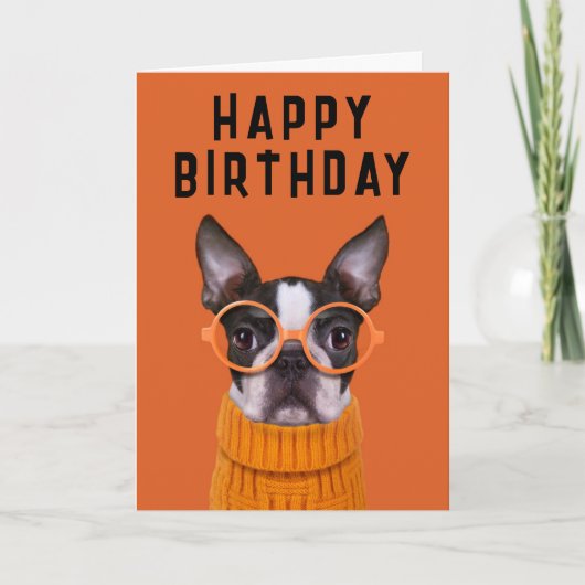 Gefeliciteerd verjaardag | Oranje Boston Terrier Kaart (Voorkant)