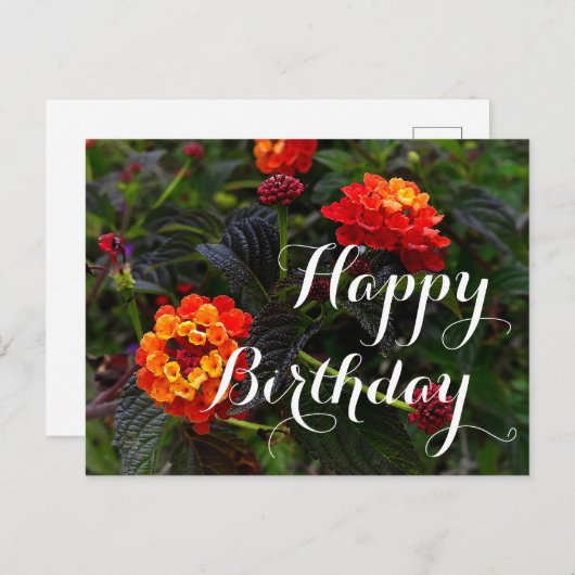 Gefeliciteerd Verjaardag Oranje Rood Trailing Lant Briefkaart (Voorkant / Achterkant)