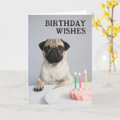 Gefeliciteerd Verjaardag Pug Kaart (Gele Bloem)