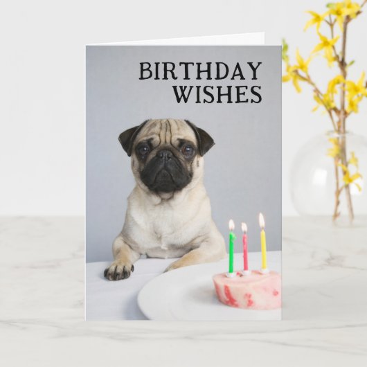 Gefeliciteerd Verjaardag Pug Kaart (Gele Bloem)