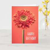 Gefeliciteerd verjaardag | Rode Barberton Gerbera Kaart (Gele Bloem)