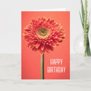 Gefeliciteerd verjaardag Rode Barberton Gerbera Kaart