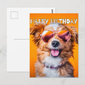 Gefeliciteerd Verjaardag Schattige Feest Dier Briefkaart (Voorkant / Achterkant)