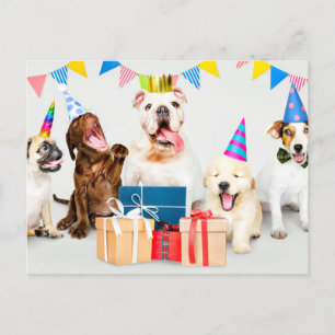Gefeliciteerd Verjaardag Schattige Feest Dieren Briefkaart