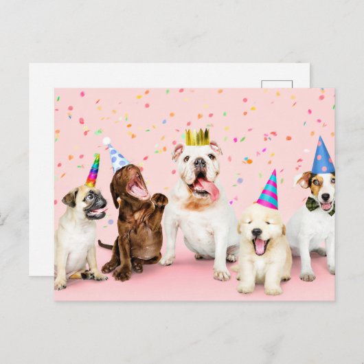 Gefeliciteerd Verjaardag Schattige Feest Dieren Briefkaart (Voorkant / Achterkant)