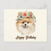 Gefeliciteerd Verjaardag Schattige Pomeranian Hond Briefkaart (Voorkant)