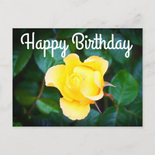 Gefeliciteerd Verjaardag Wandelen op Zonneschijn R Briefkaart