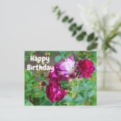 Gefeliciteerd Verjaardag Wilde Blauwe Verre Roos # Briefkaart (Staand voorkant)