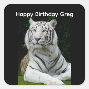 Gefeliciteerd Verjaardag Witte Tijger Vierkante St Sticker