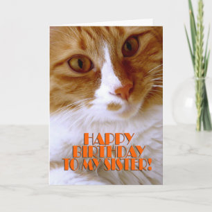 Gefeliciteerd Verjaardag Zus - Zoete Kat Kaart