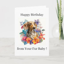 Gefeliciteerd Verjaardagsfoto Hond Kat Huisdier Va