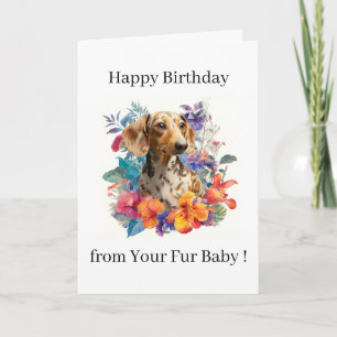 Gefeliciteerd Verjaardagsfoto Hond Kat Huisdier Va Kaart