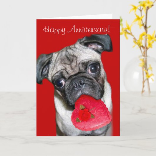 Gefeliciteerd verjaardagskaart met Pug Kaart (Gele Bloem)