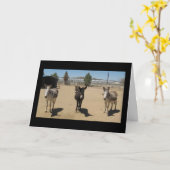 Gefeliciteerd Veterinair Afstuderen - Ranch Boerde Kaart (Gele Bloem)