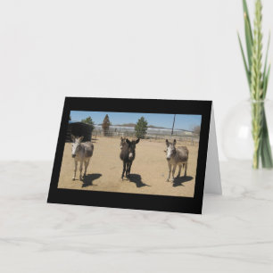 Gefeliciteerd veterinair Afstuderen - Ranch Boerde Kaart