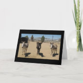 Gefeliciteerd Veterinair Afstuderen - Ranch Boerde Kaart (Voorkant)