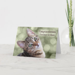 Gefeliciteerd, Veterinary Tabby Kitten Afstuderen Kaart